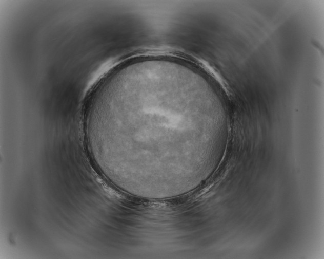 X0000095121456200801041212