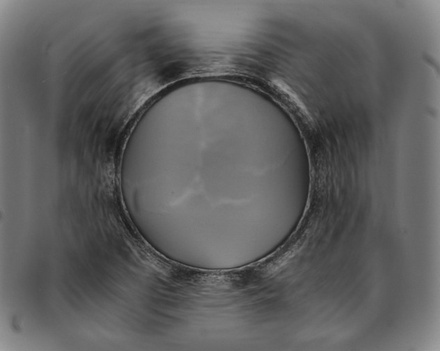 X0000095121457200801041212