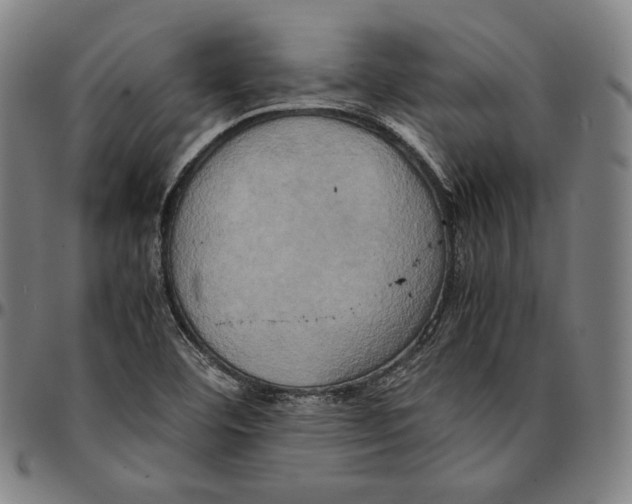 X0000095121460200801041212