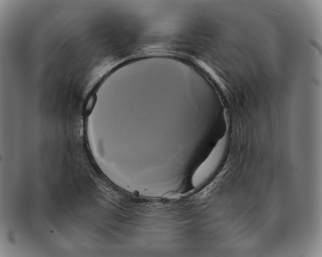 X0000095121461200801041212