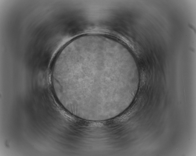 X0000095121462200801041212