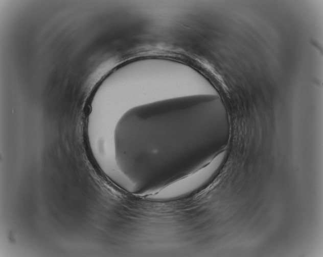 X0000095121463200801041212