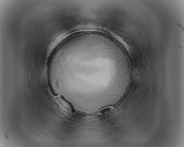 X0000095121464200801041212