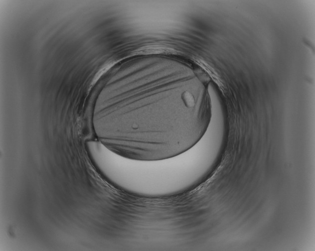 X0000095121465200801041212