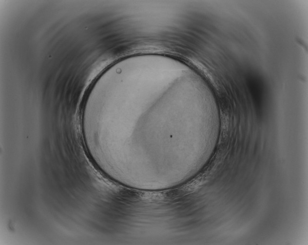 X0000095121466200801041212