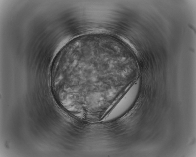 X0000095121467200801041212