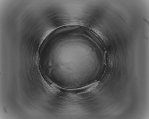 X0000095121468200801041212