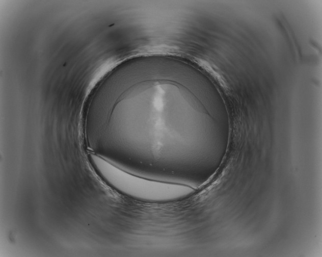 X0000095121469200801041212