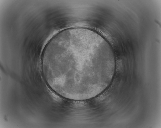 X0000095121470200801041212