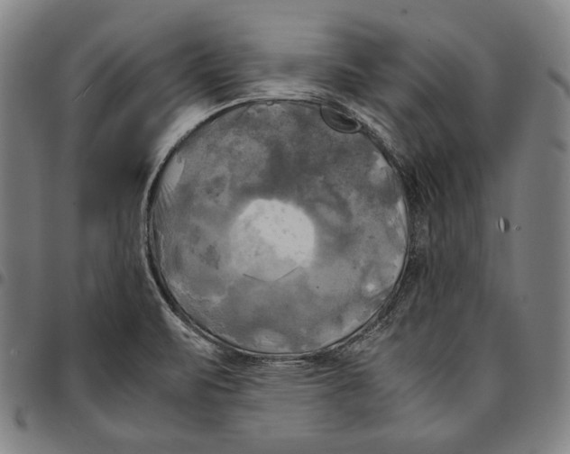 X0000095121471200801041212