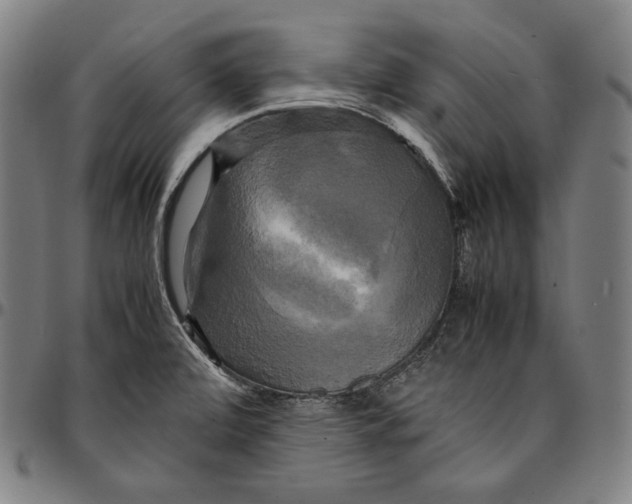 X0000095121472200801041212