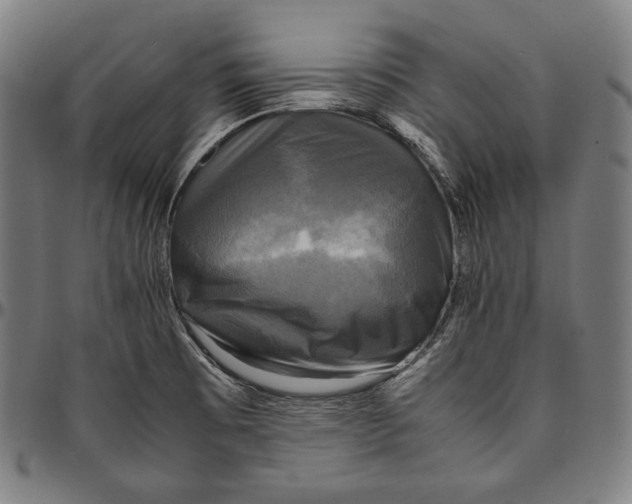 X0000095121473200801041212