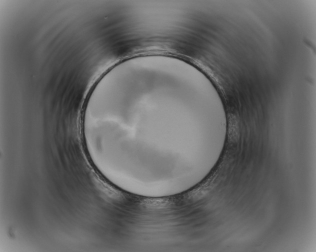 X0000095121474200801041212