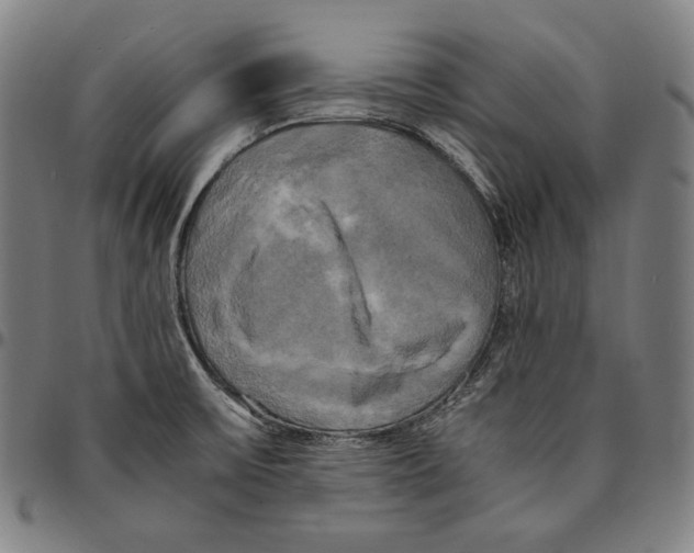 X0000095121475200801041212