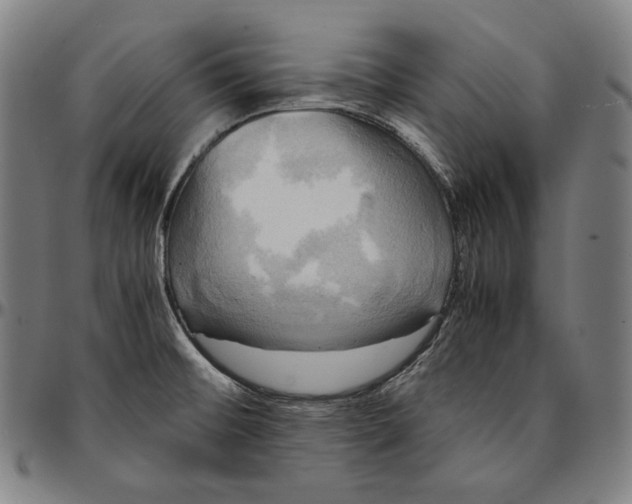 X0000095121476200801041212