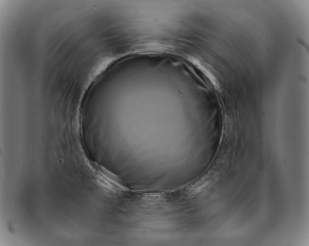 X0000095121477200801041212