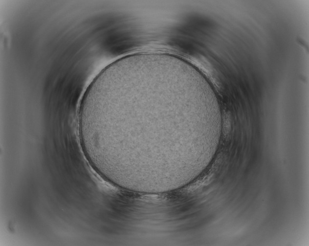 X0000095121478200801041212