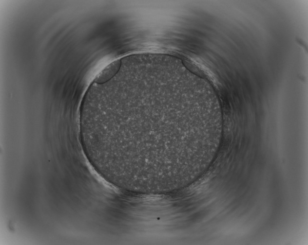 X0000095121479200801041212