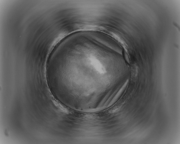 X0000095121480200801041212