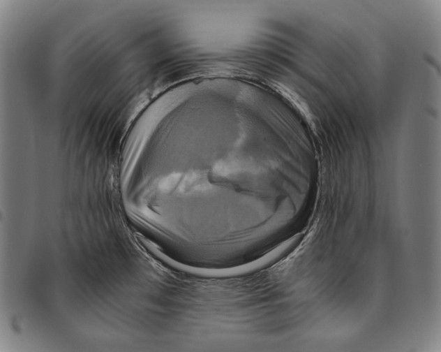 X0000095121481200801041212