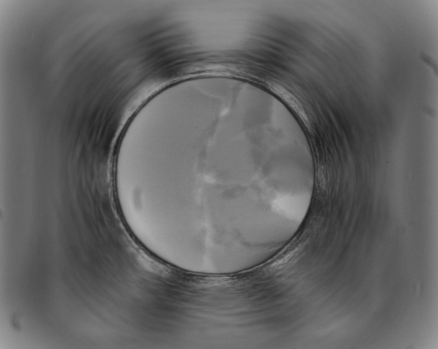 X0000095121482200801041212