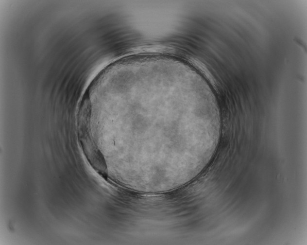 X0000095121483200801041212