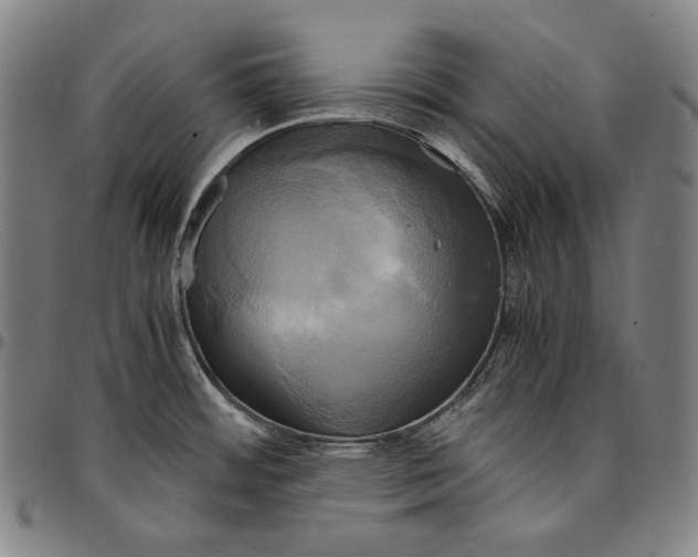 X0000095121484200801041212