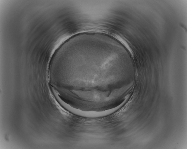 X0000095121485200801041212