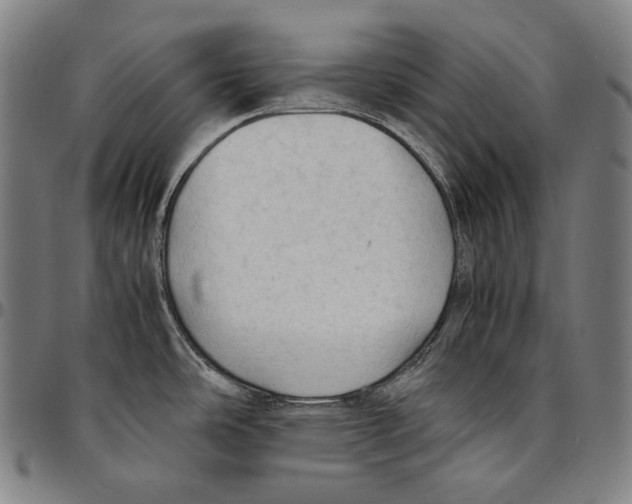 X0000095121486200801041212