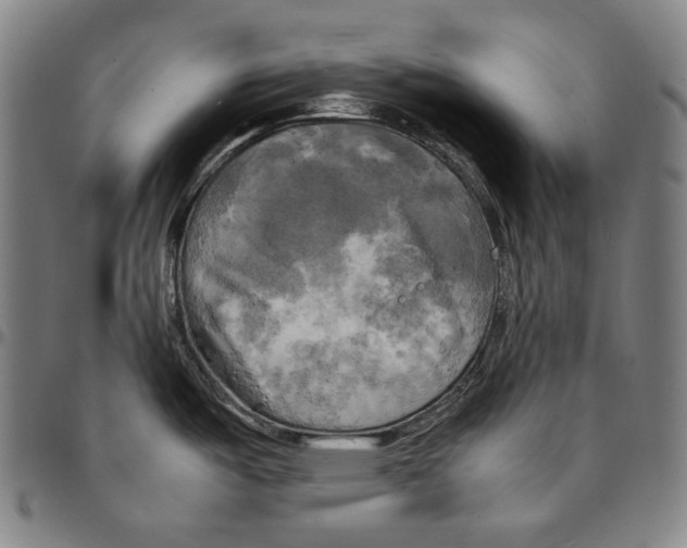 X0000095121487200801041212