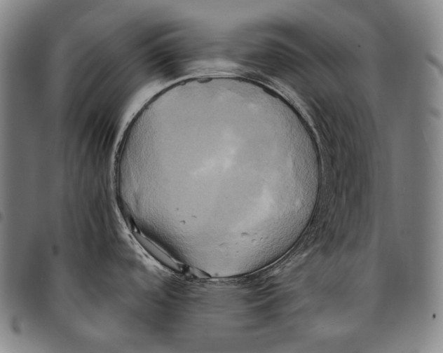 X0000095121488200801041212