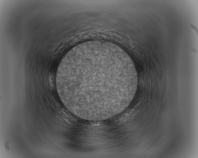 X0000095121490200801041211