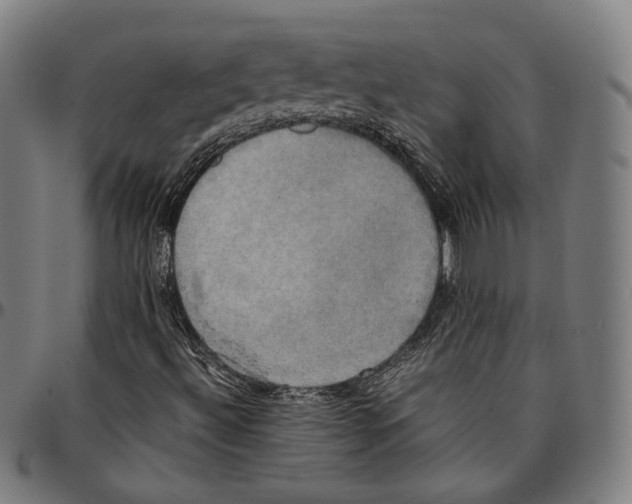 X0000095121492200801041211