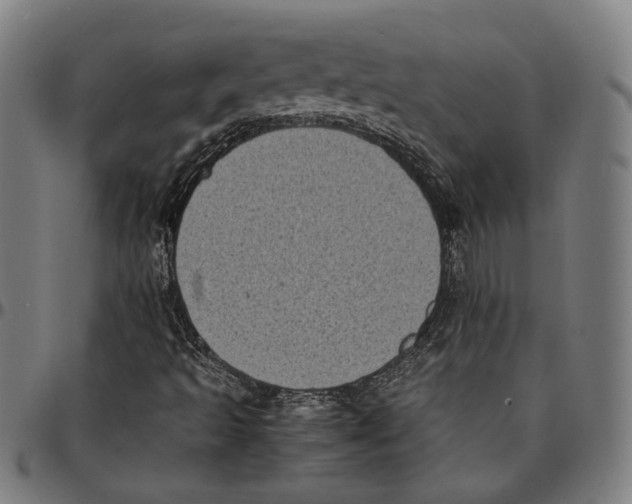 X0000095121493200801041211