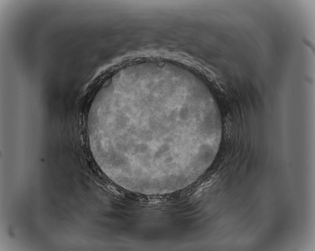 X0000095121494200801041211