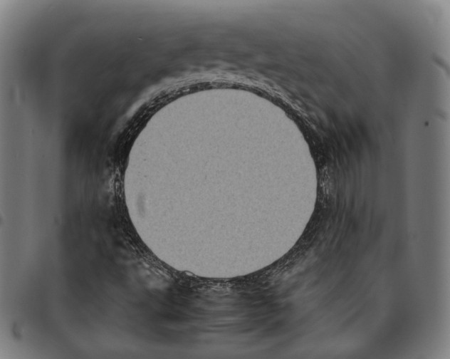 X0000095121495200801041211