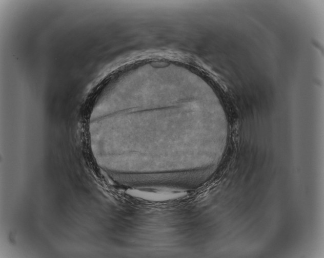 X0000095121496200801041211