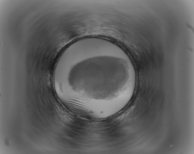 X0000095121497200801041211