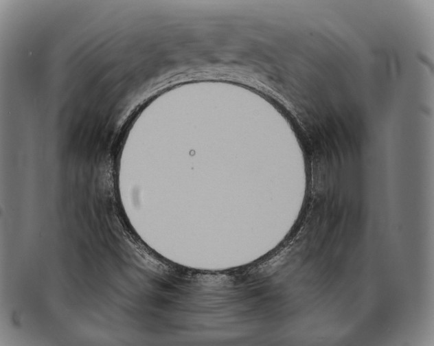 X0000095121498200801041211