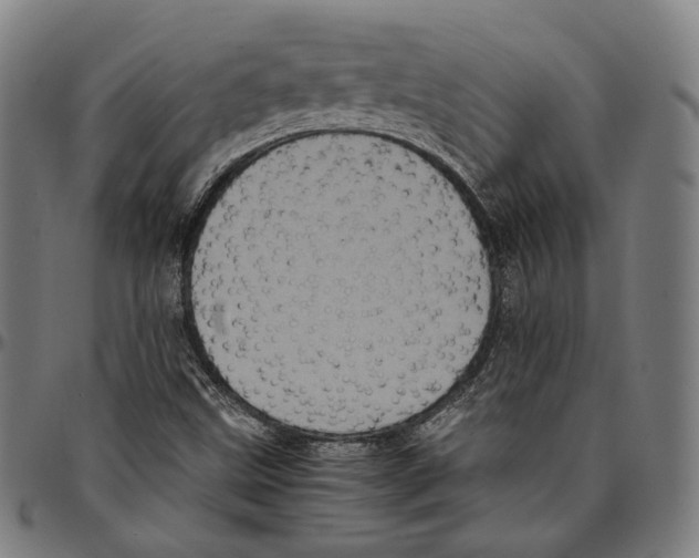 X0000095121499200801041211