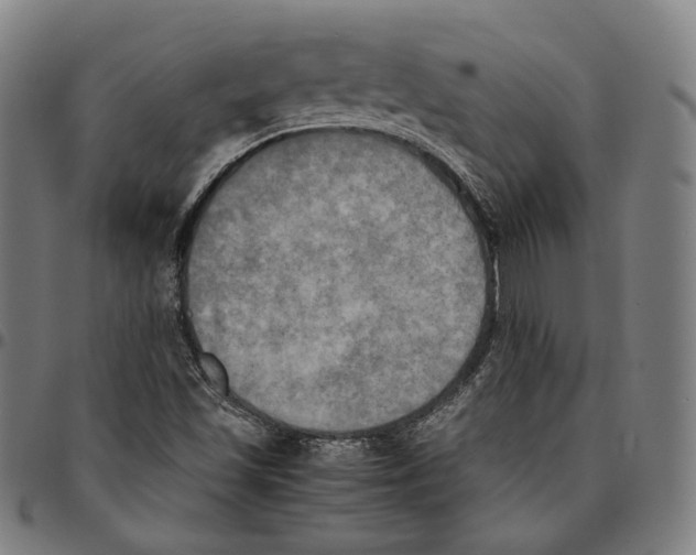 X0000095121501200801041211