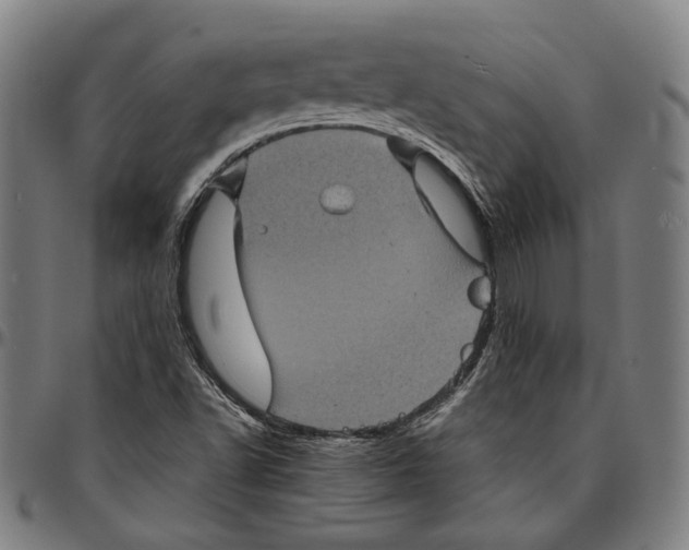 X0000095121502200801041211