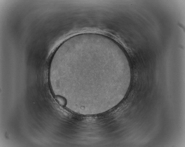 X0000095121504200801041211