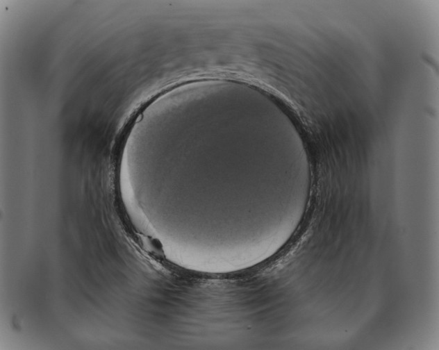 X0000095121506200801041211