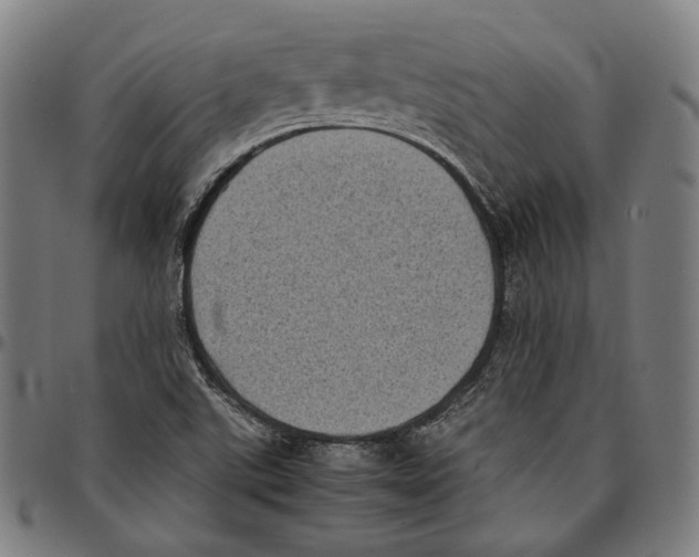 X0000095121507200801041211