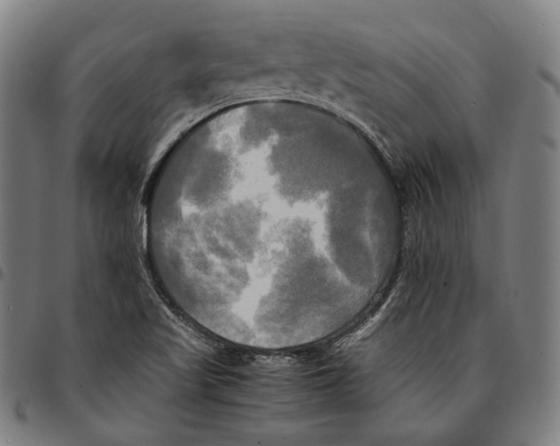 X0000095121509200801041211