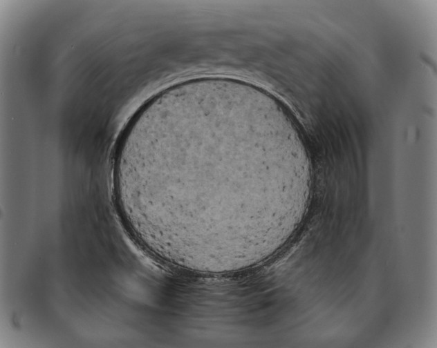 X0000095121511200801041211