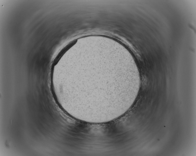 X0000095121512200801041212