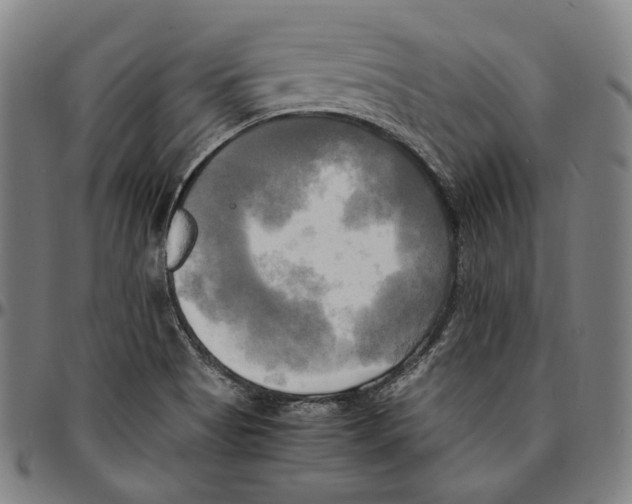 X0000095121513200801041212