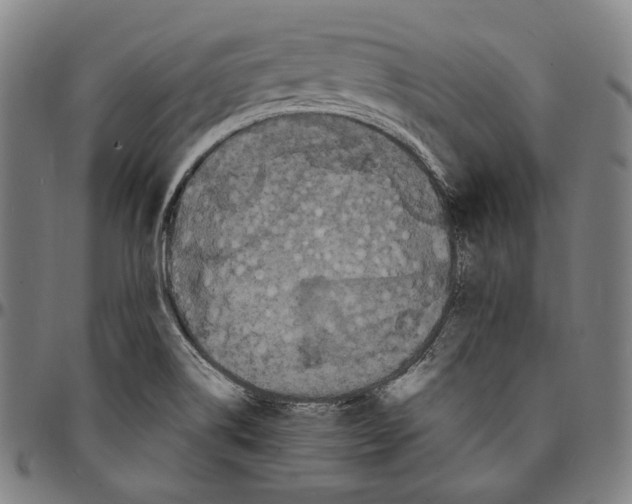 X0000095121514200801041212